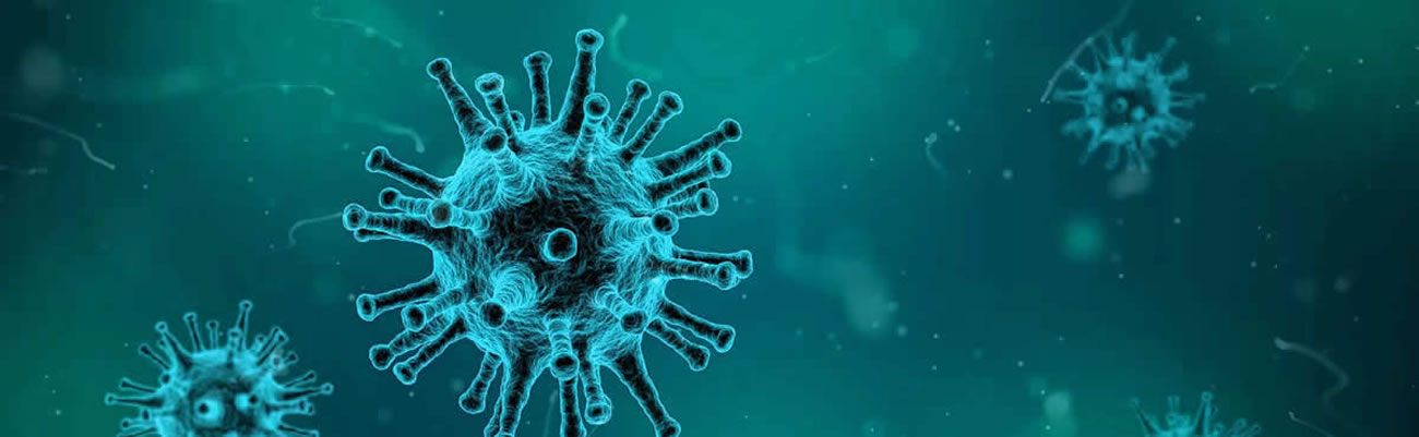 image representing the influenza virus
